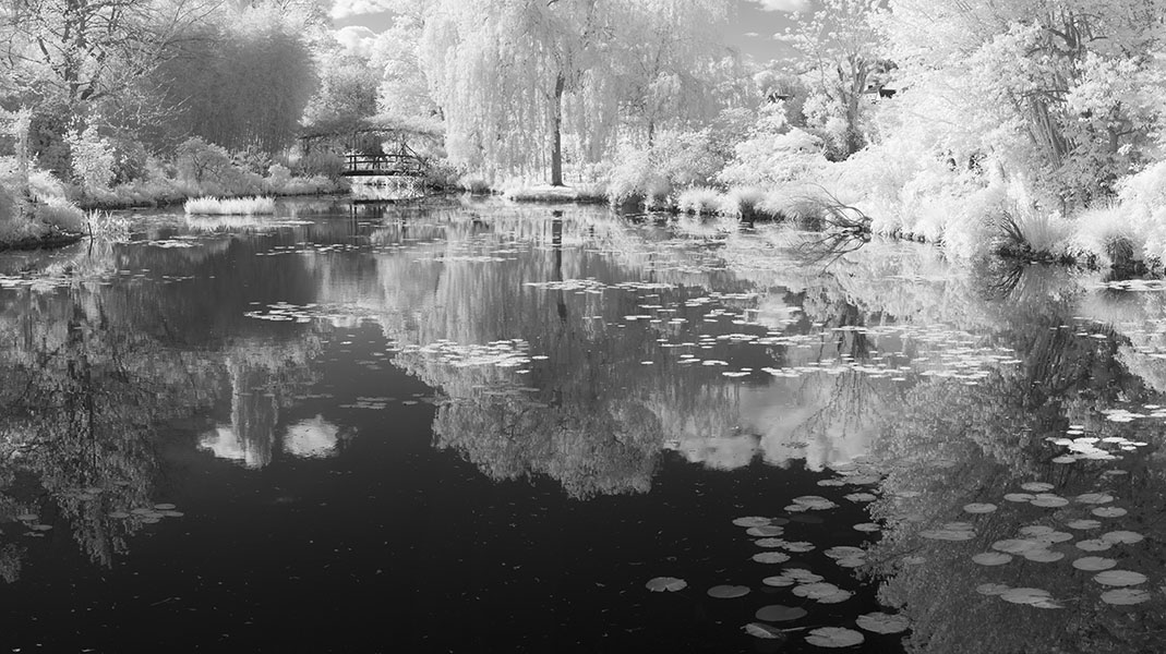 Infrared Panorama of Monet's Pond, Bridge, and Water Lily Pads.